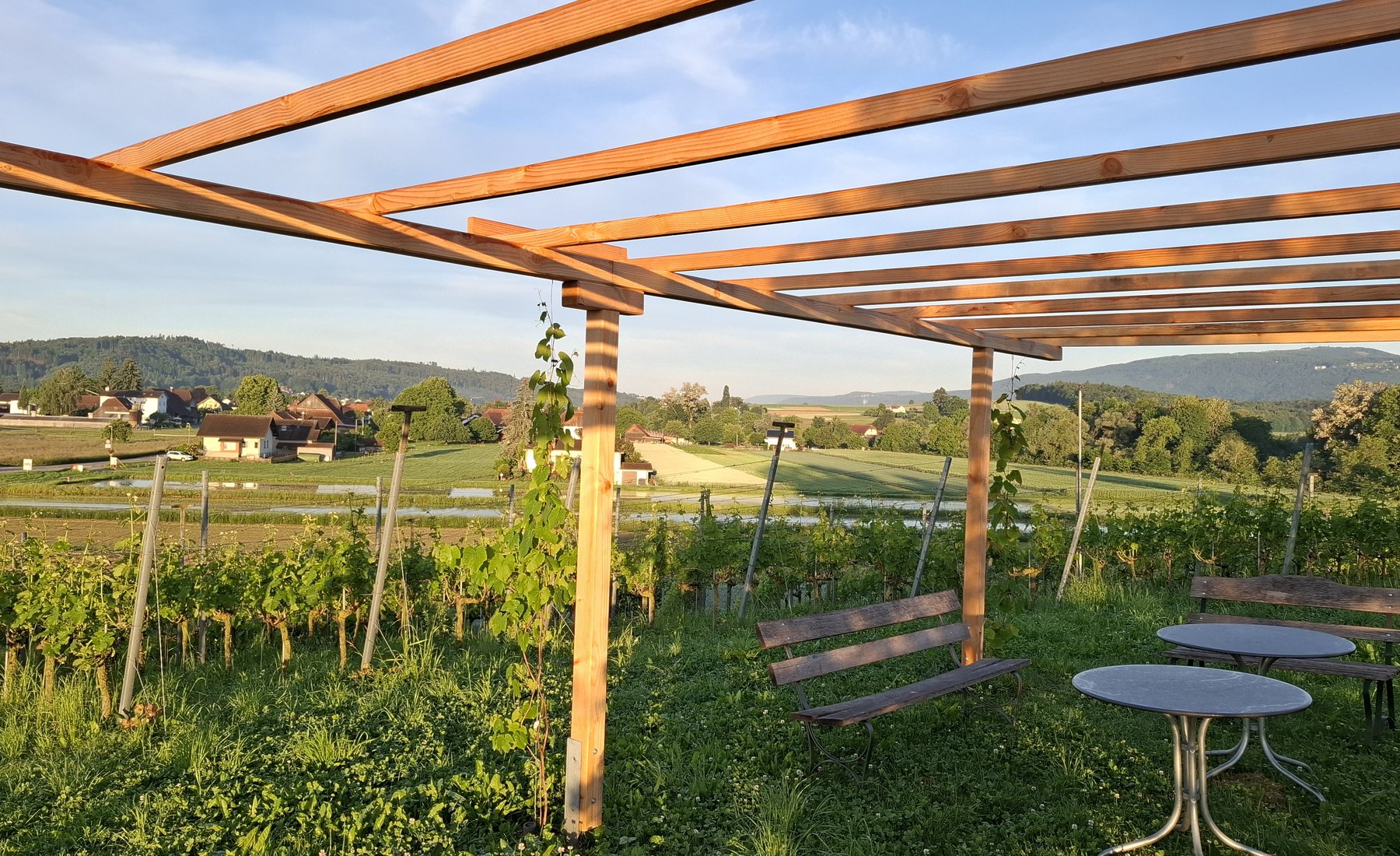 Die neue Pergola aus Douglasien-Holz